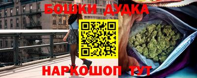 дживик Дубна